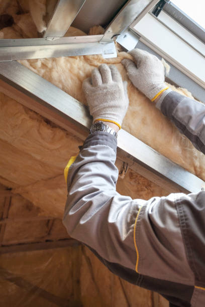 Best Eco-Friendly or Green Insulation Solutions  in USA